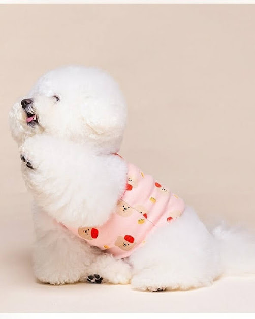 Из инстаграмм аккаунта bbo.bbo.2016