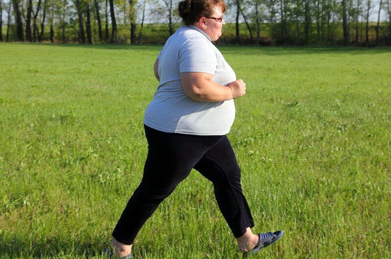 картинки Яндекса