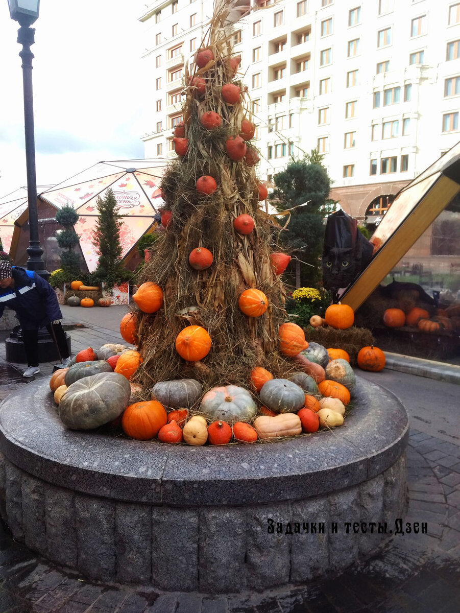 Источник: авторское фото из личного архива