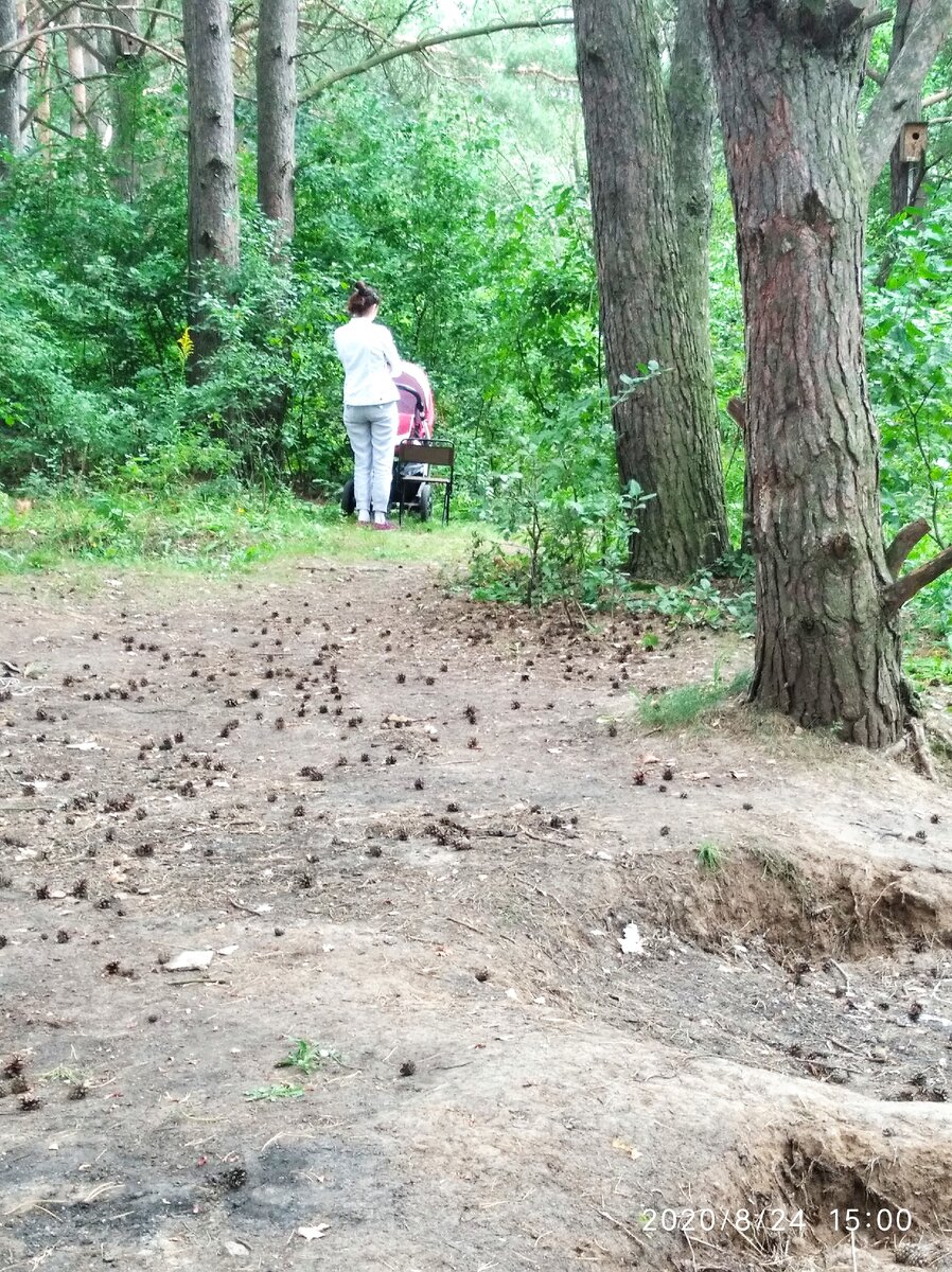 Вот так это выглядит: в кусты зашла и стоит два часа. Мы вышли гулять, походили, нагулялись, устали, через полтора часа возвращаемся, а эта мамочка стоит на том же месте. И таких много. Кто-то ходит, а кто-то просто стоит.