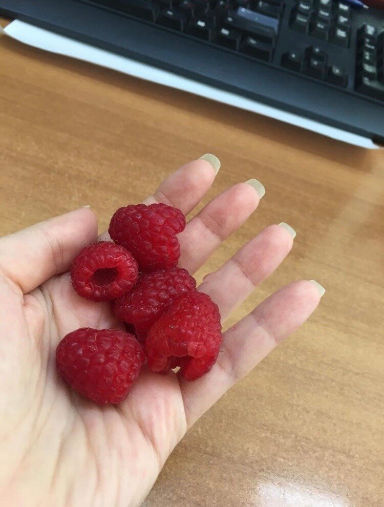 Фото из личного архива