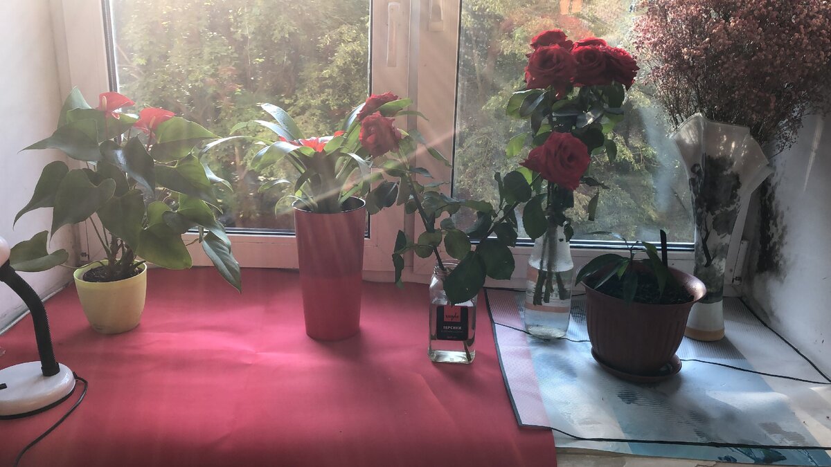 фото из личного архива