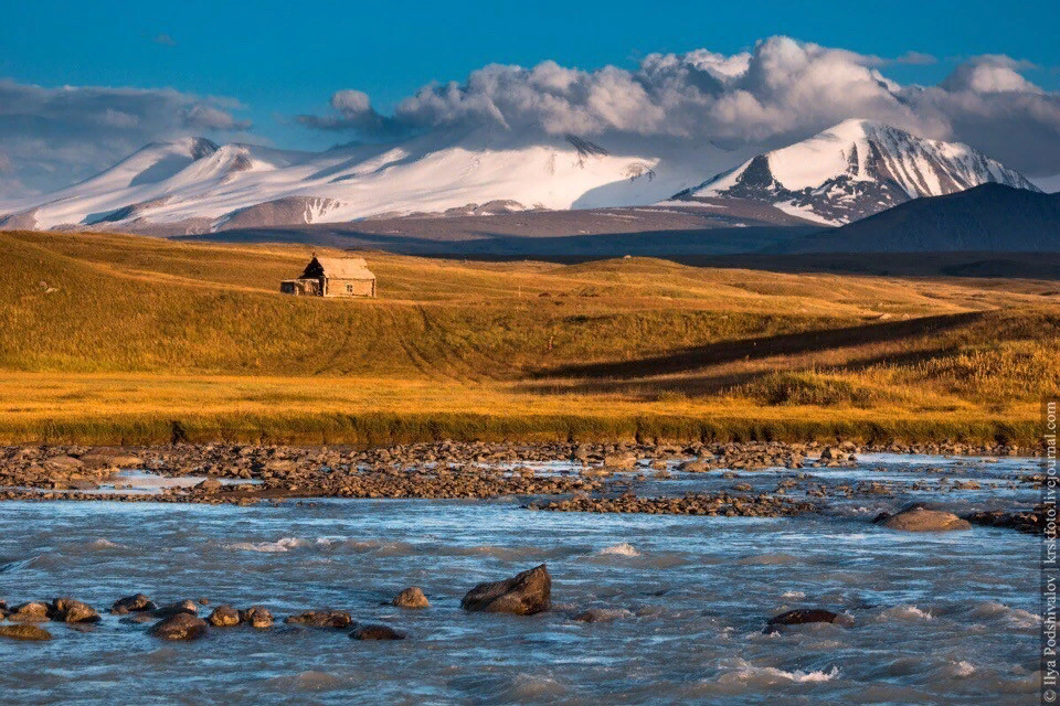 Плато Укок горный Алтай