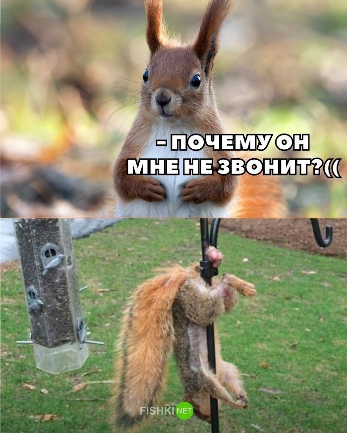 http://anub.ru