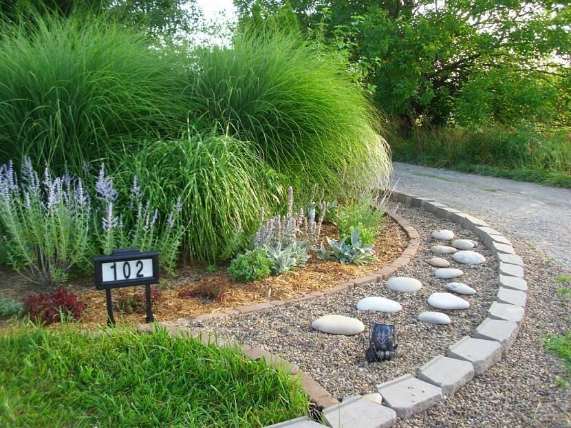 
Декоративная трава в ландшафтном дизайне