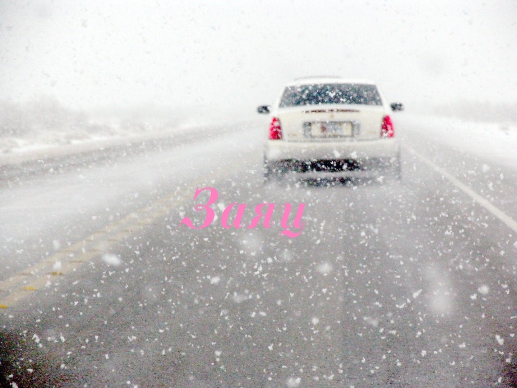 Фото взято из Яндекс картинки и отредактировано мною.