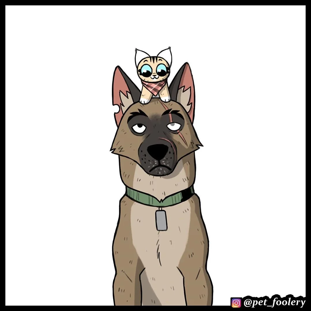 Источник: Инстаграм pet_foolery 