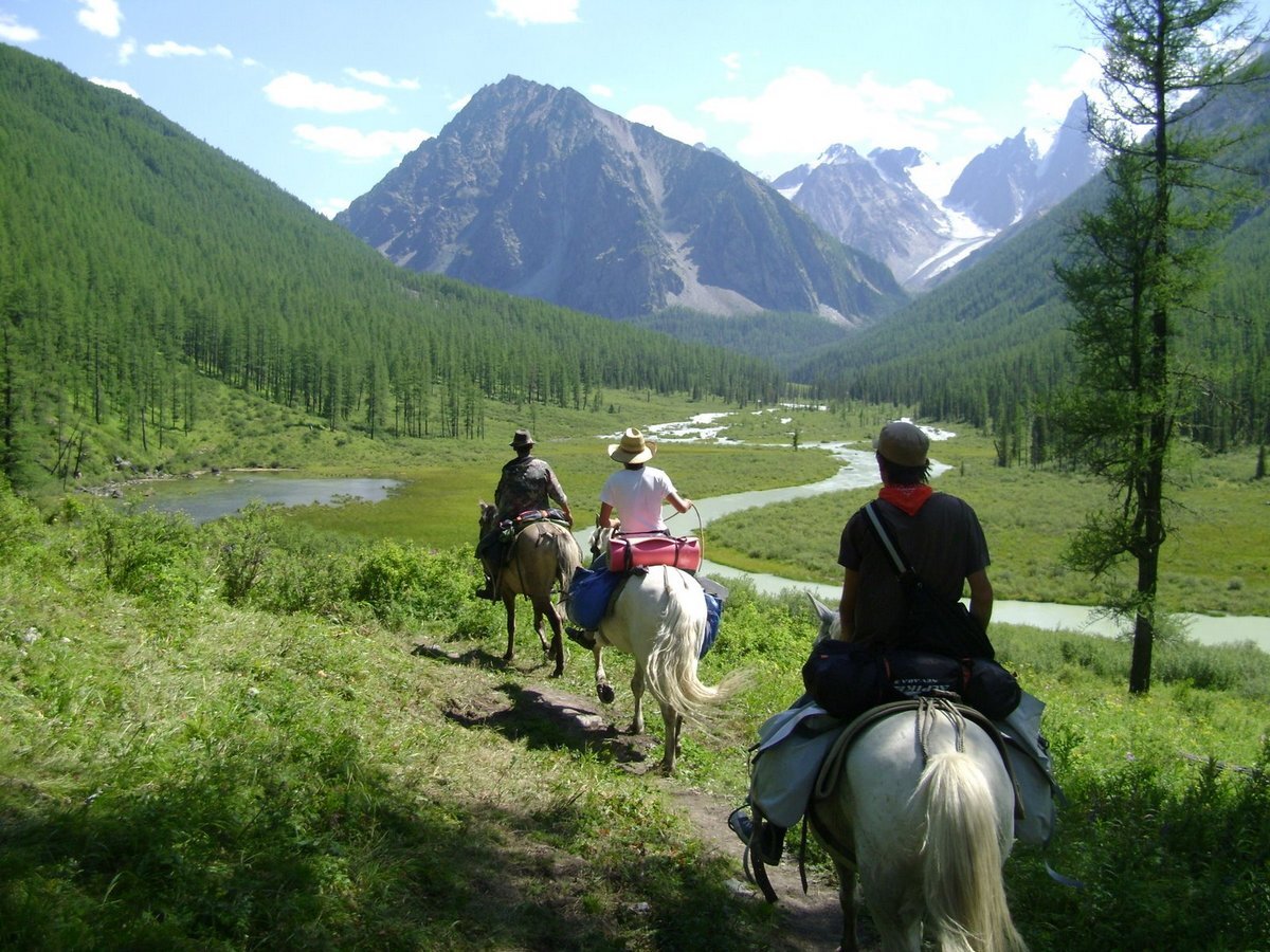 Алтай  фото из открытых источников.