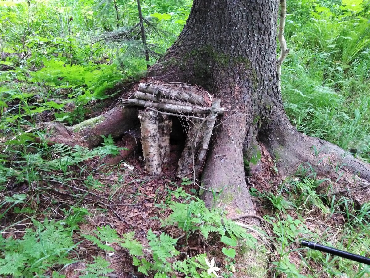 Вход в "нору гнома"