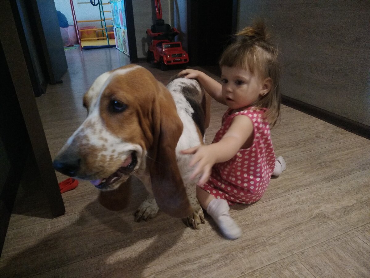 Коридорные тусовки Миры и Альбы