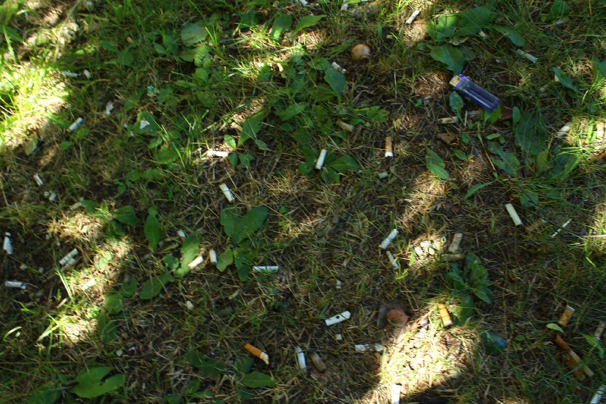 Фото автора. Кто-то отлично покурил. Но почему окруки за собой не убрал - вот в чем вопрос. неужели думает, что кому-то нравится убирать чужой мусор?