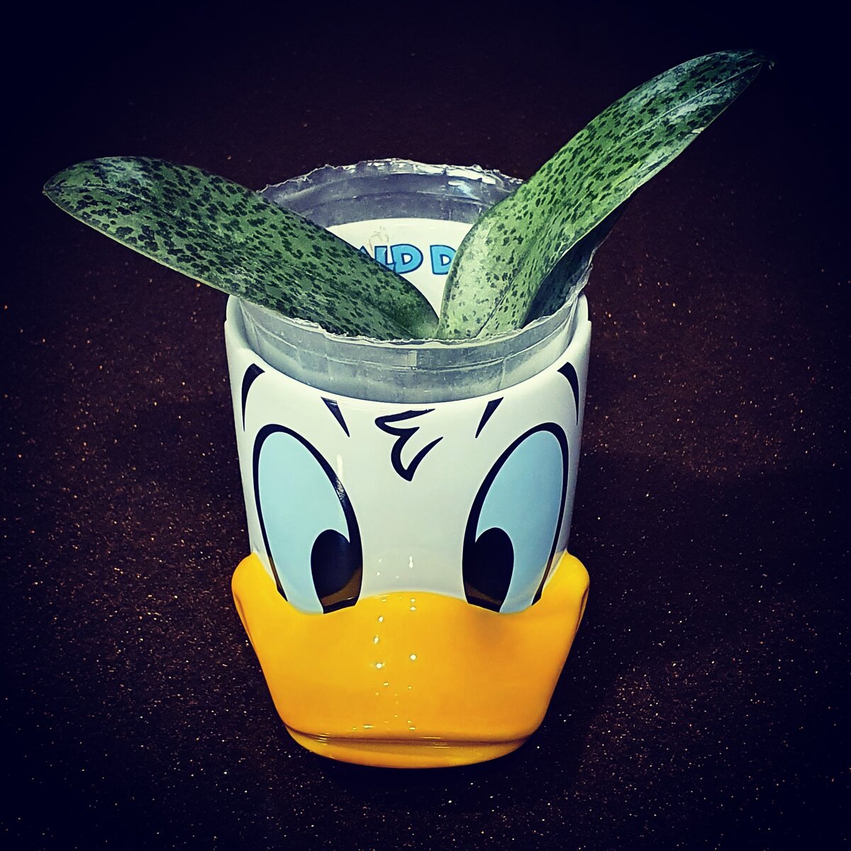 Это Парфюмерная фабрика