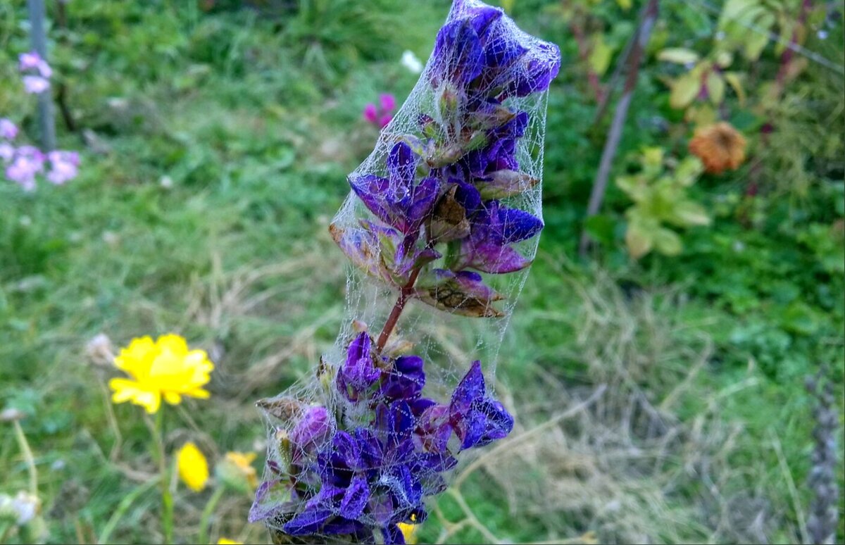 Мы сами себе придумываем проблемы, воображая, что если мы остаёмся дома, то мы начинаем деградировать. Поэтому во что бы не стало нам нужно бежать. Но если хорошенько проанализировать происходящие события, то станет ясно: мир всегда предлагает нам самое лучшее.