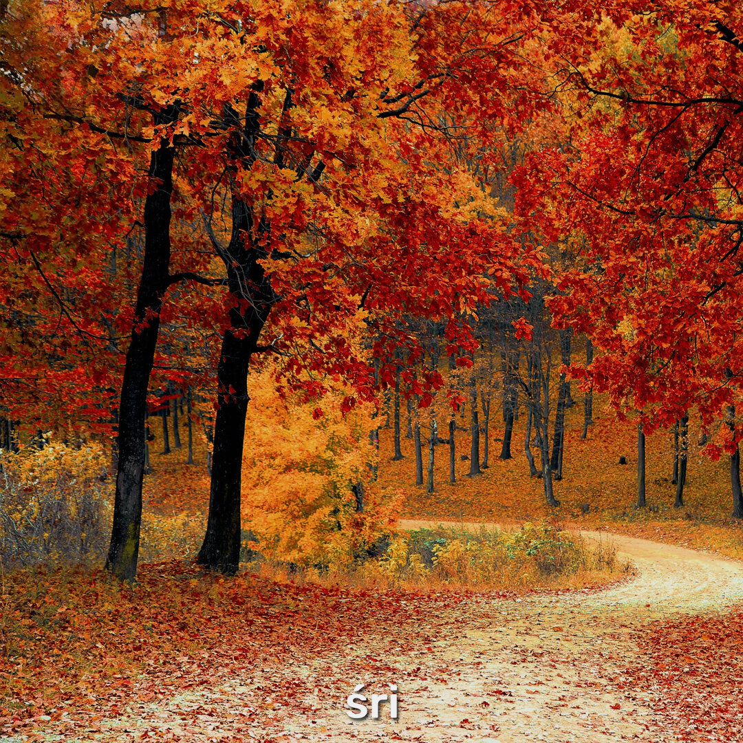 Дыхание осени