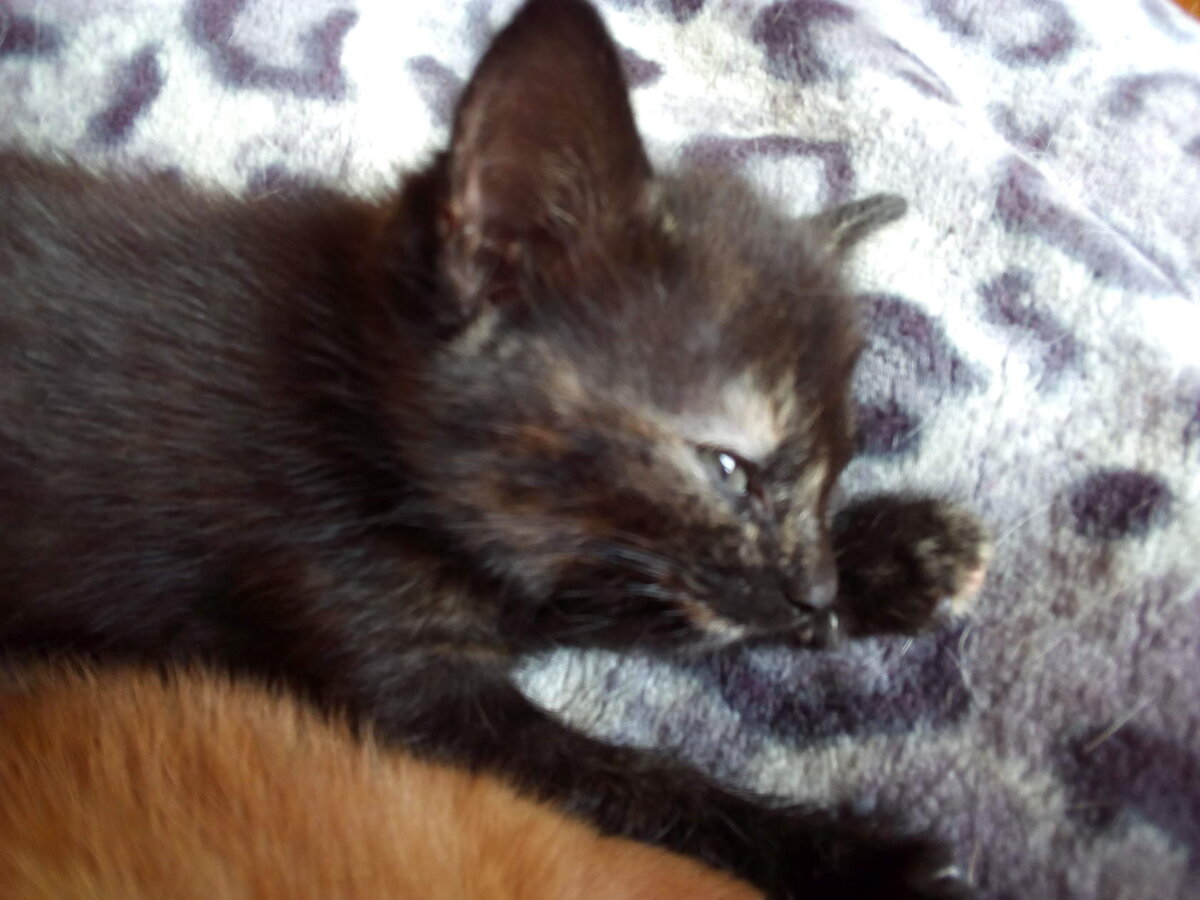 из моих фотографий