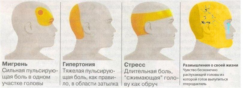 из открытых источников