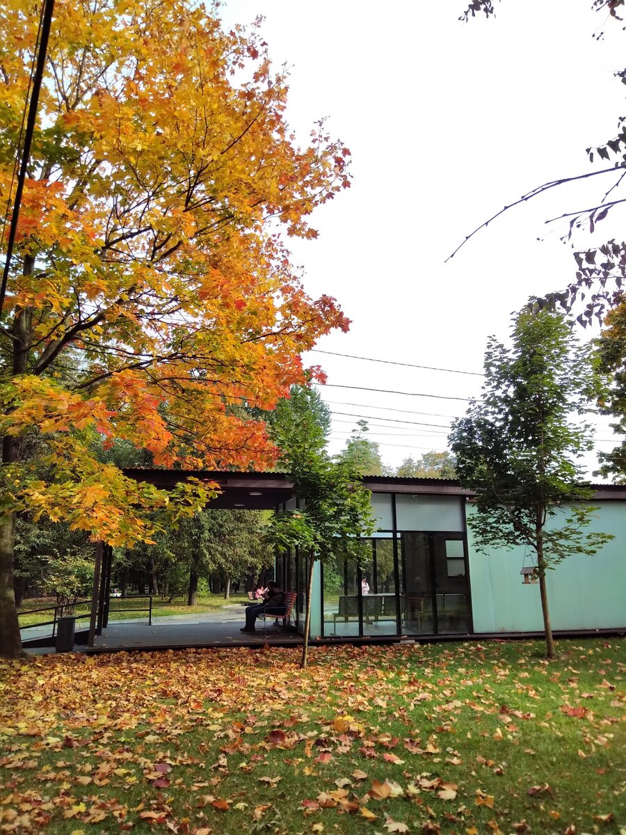 Осенняя симфония