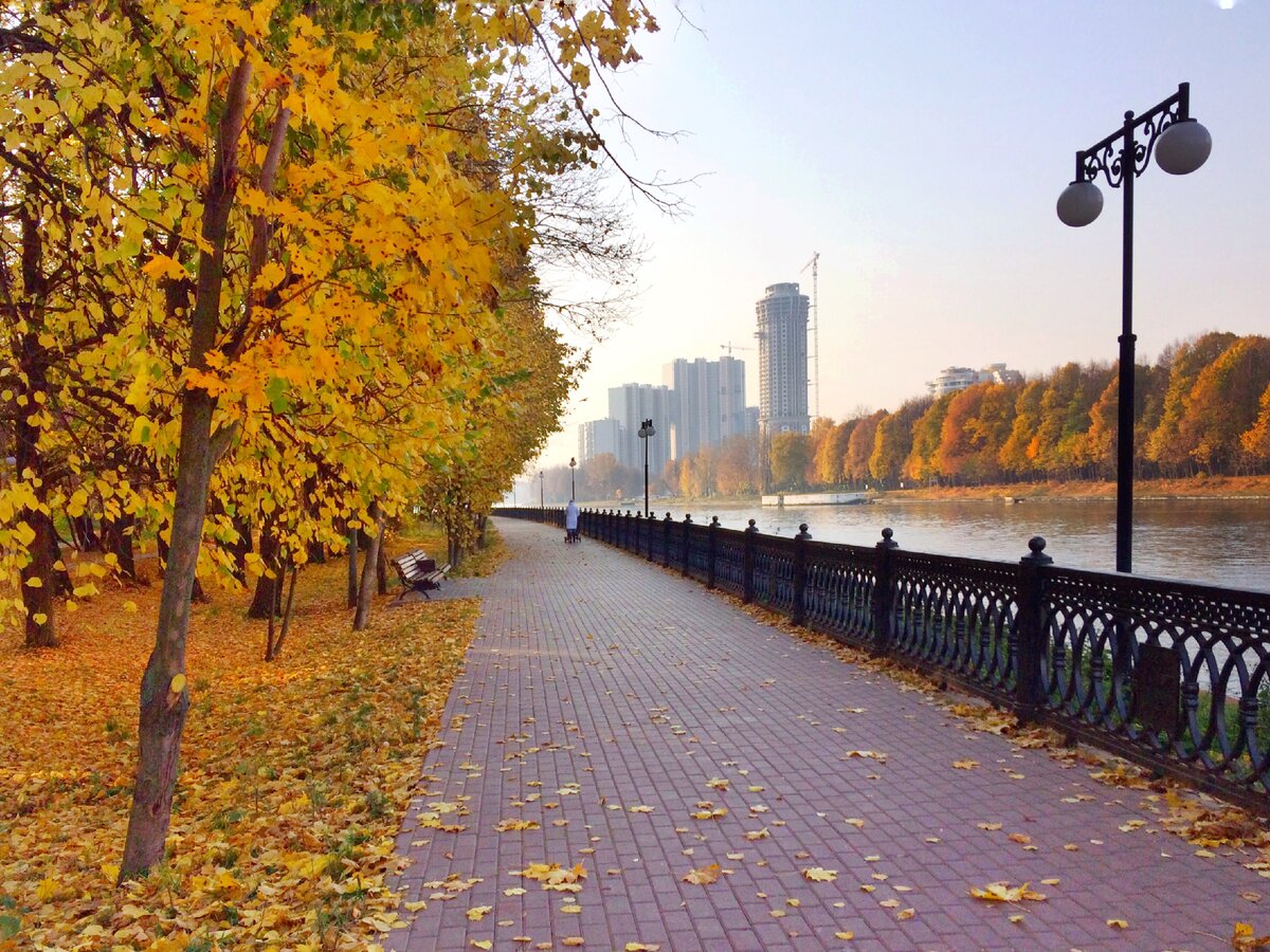 химки парк толстого пляж