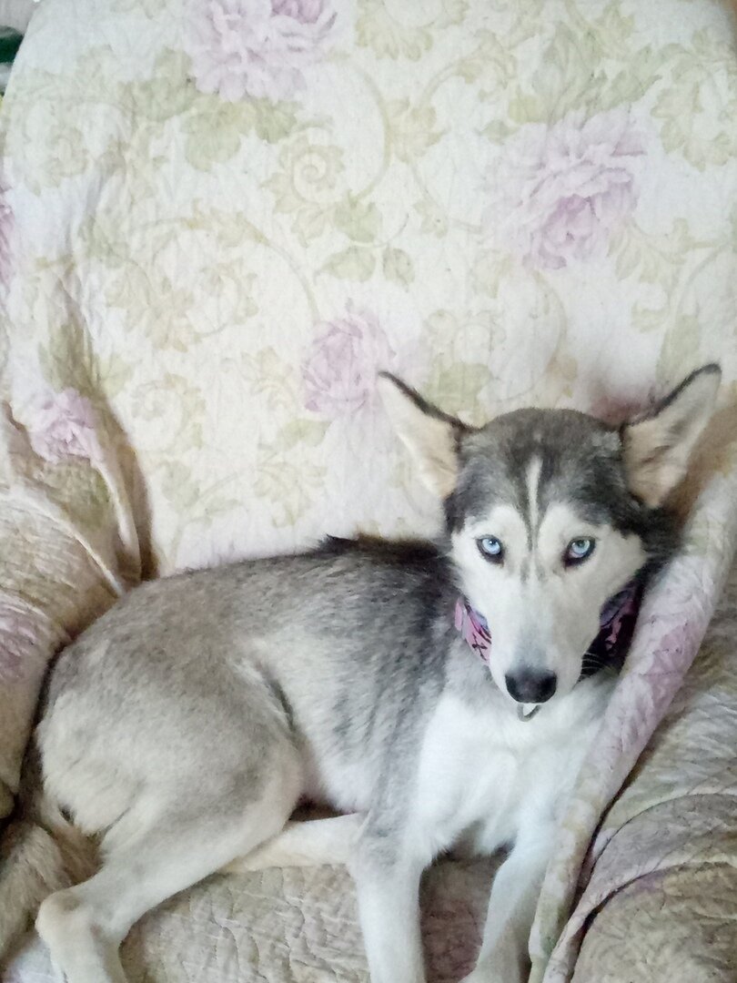 Личное фото автора