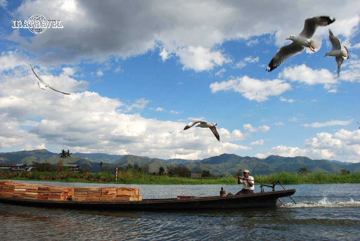 Урожай томатов транспортируют на лодке по озеру Инле (фото автора)