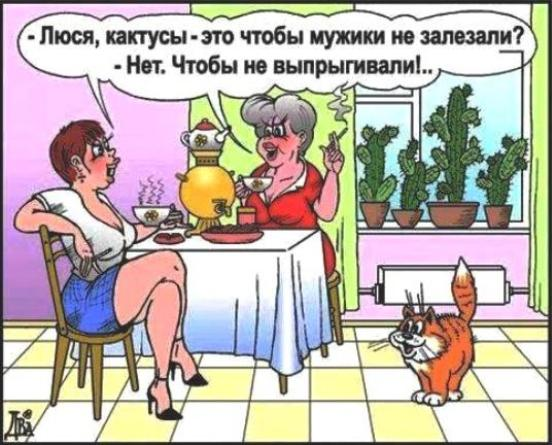 Картинка из открытого источника Яндекса