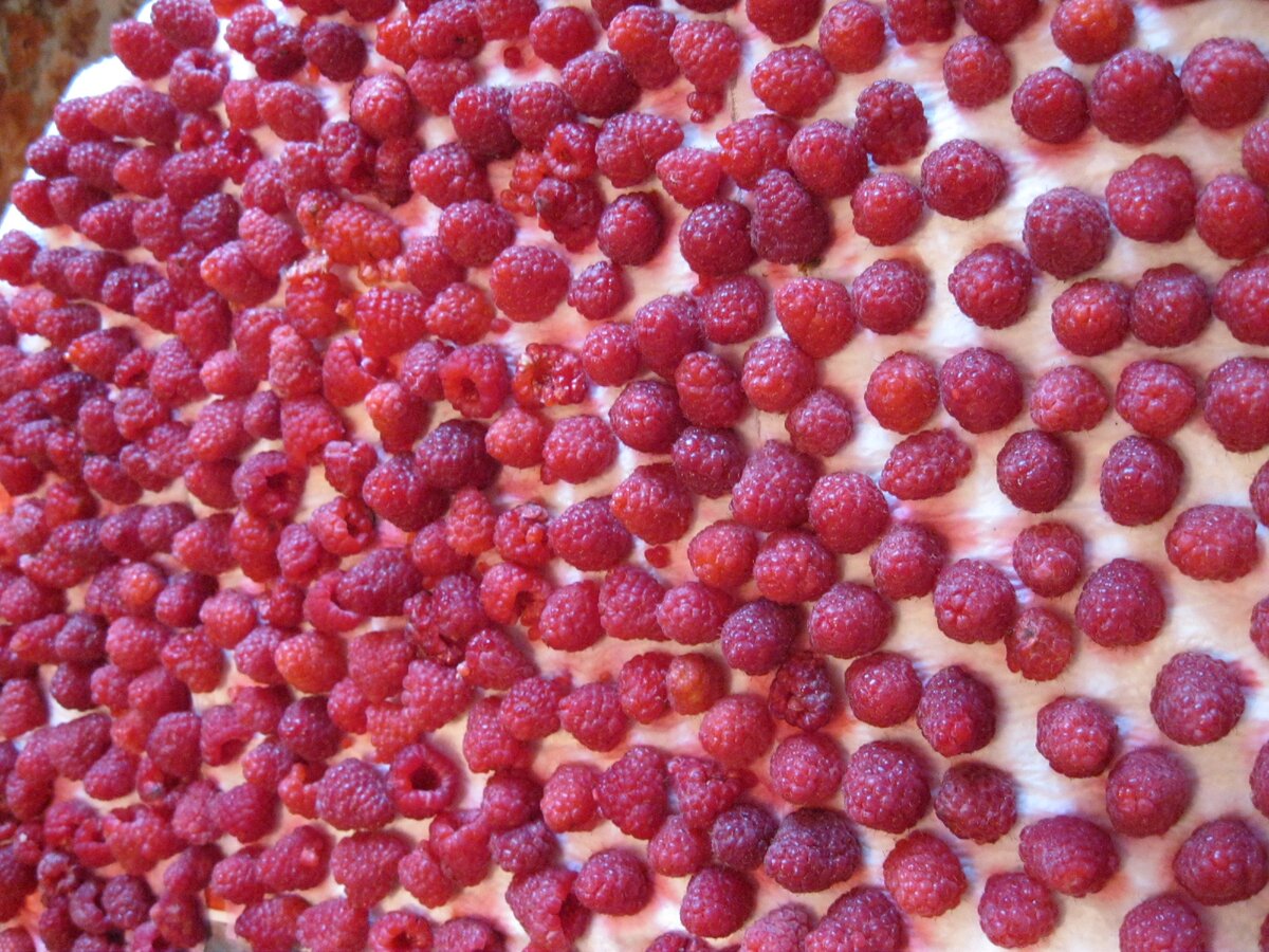 Малина попала под дождь, сушим.