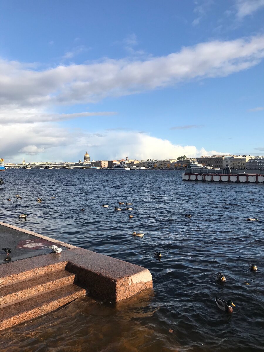 Красота Санкт-Петербурга - радость для туриста и головная боль для коммунальщиков. Вода поднимается не только в Неве, но и в подвалах