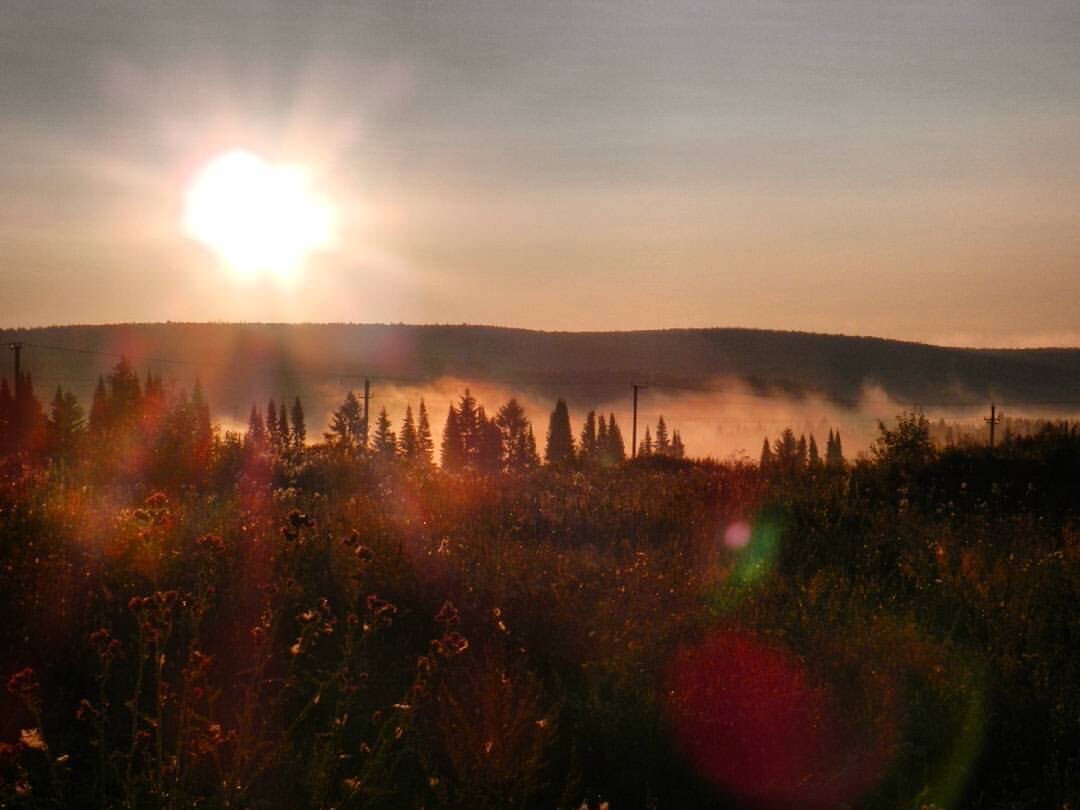 Дорога в сторону поселка Курья