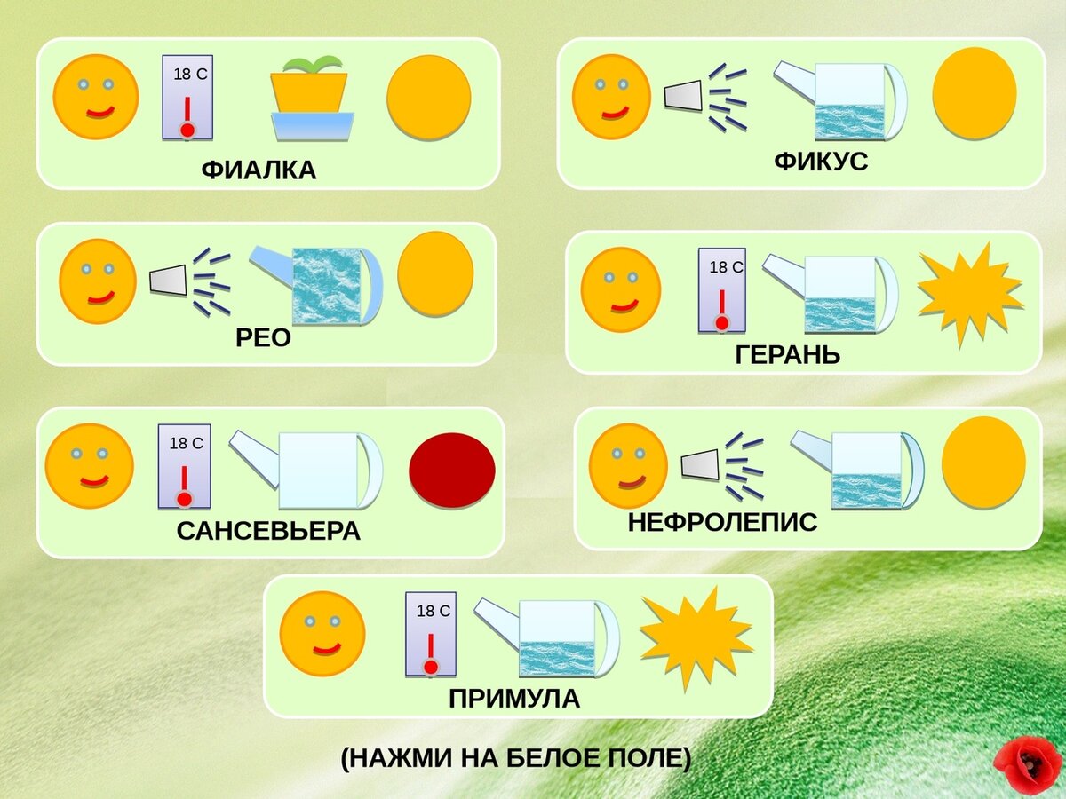 Схема ухода за растениями