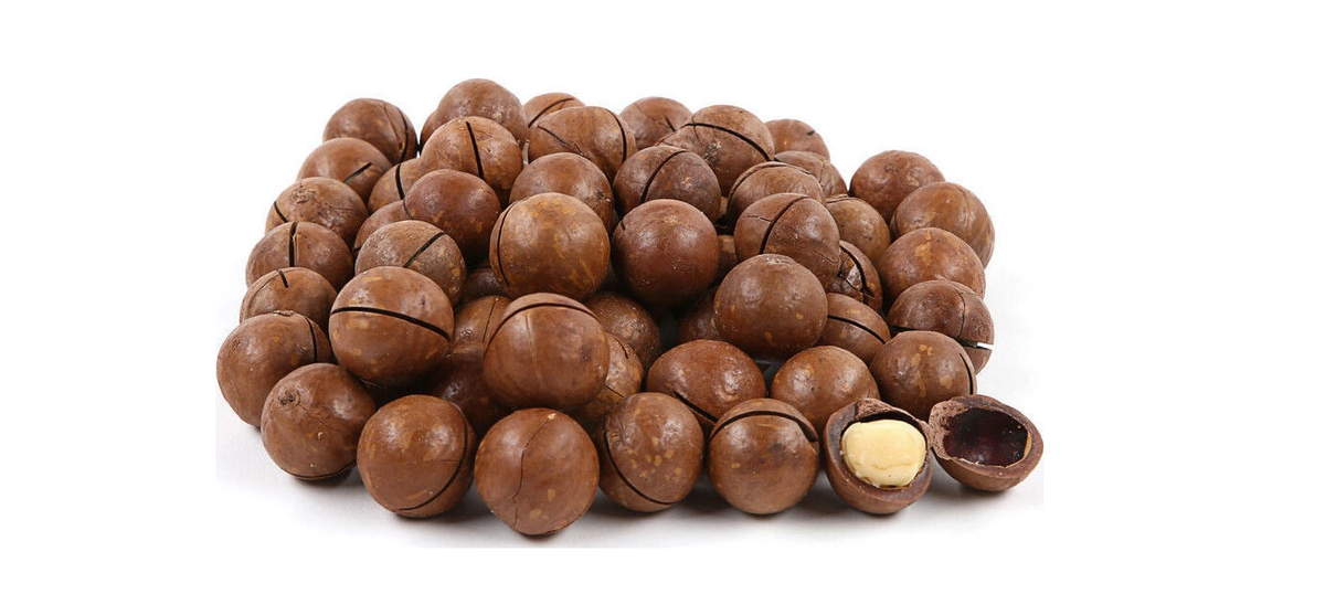 Макадамия: польза и вред ореха