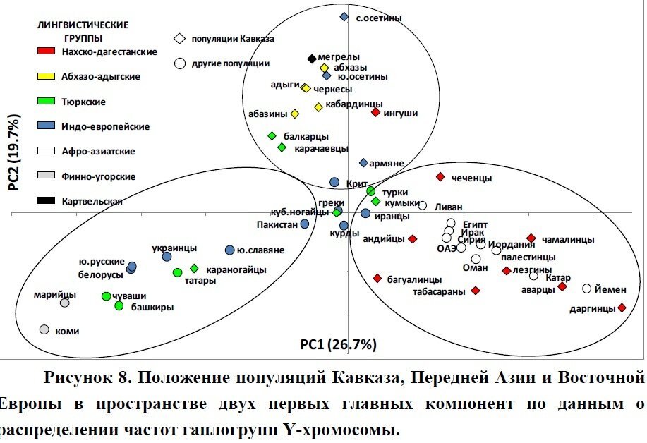 Чеченский днк проект последние результаты