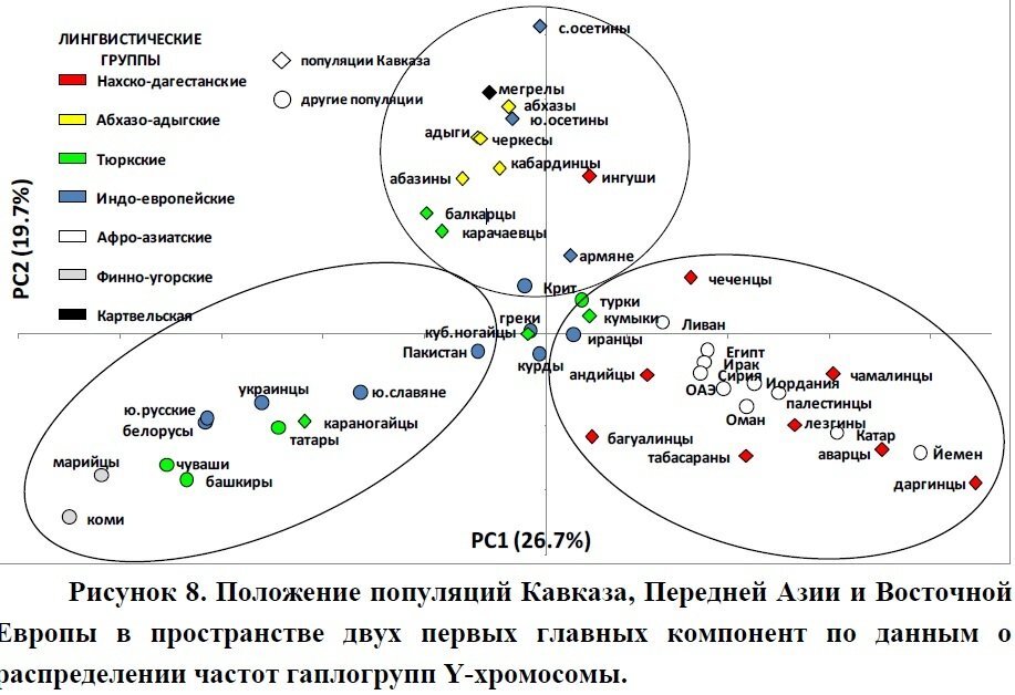 Генетическое происхождение. Карта гаплогрупп Кавказа. ДНК народов Кавказа. Генетика народов Кавказа. Генетическая карта Кавказа.