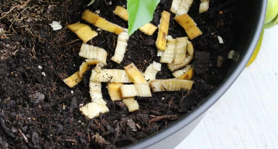 Фотография взята из источника yandex.ru