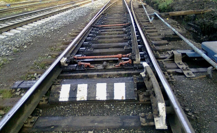 Яндекс. Картинки 