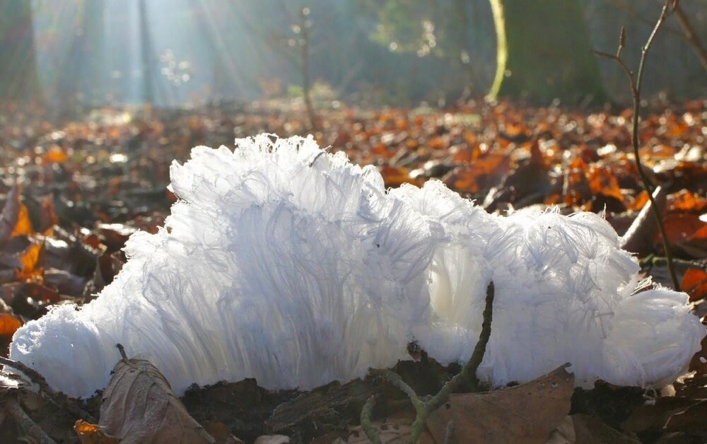 Источник: Яндекс.Картинки