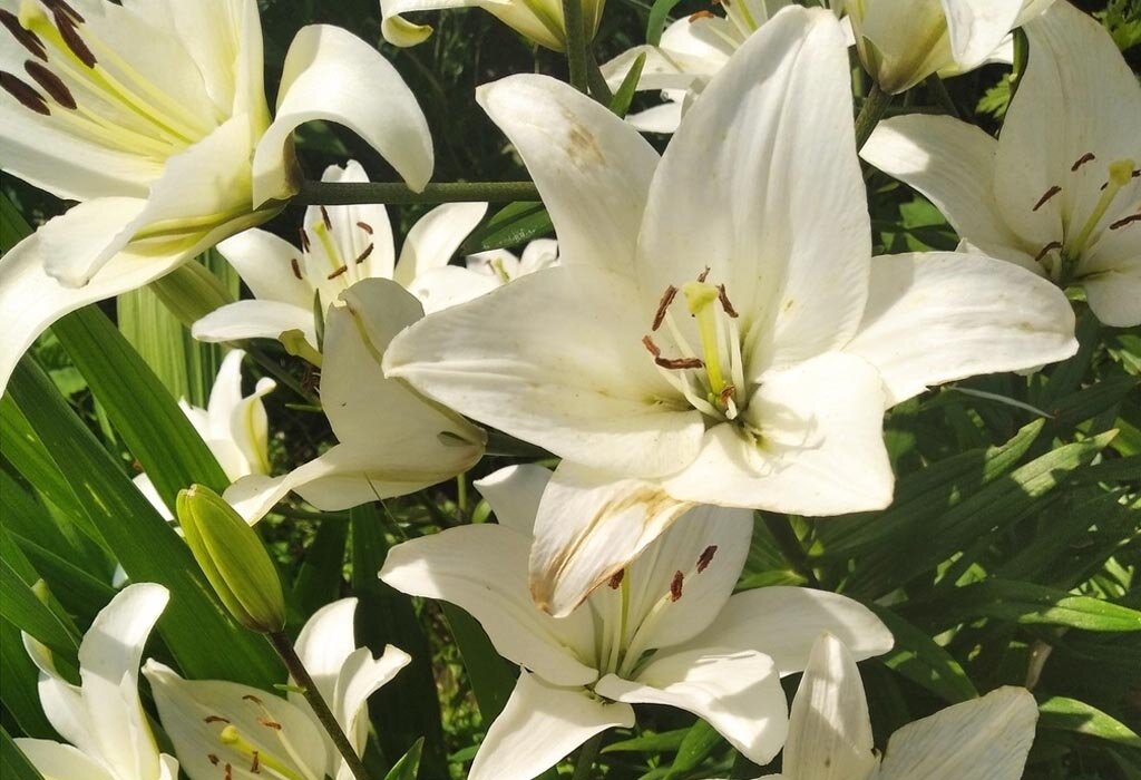 фото из личного архива автора