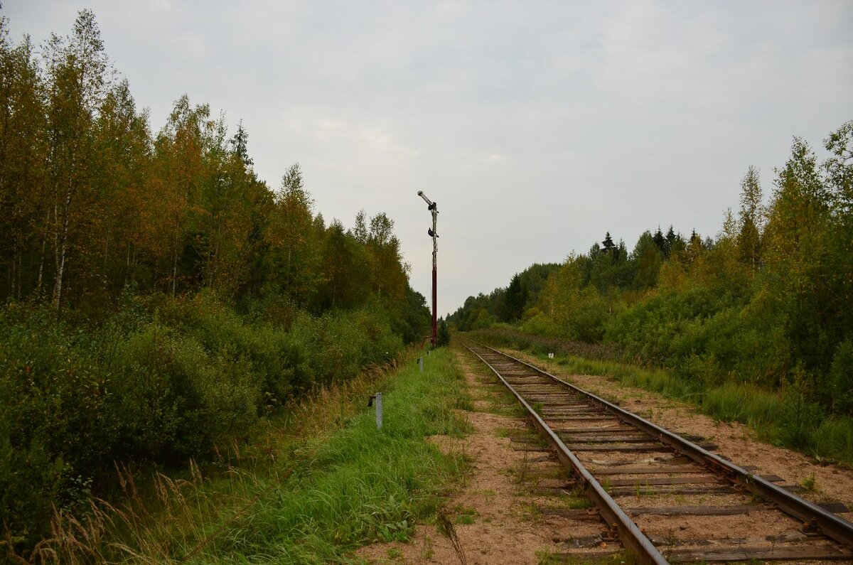 Москва-Ржев-Селижарово-Скакулино-Ранцево-Селижарово-Тверь-Москва. Часть 3.  | Андрей Мирошниченко | Дзен