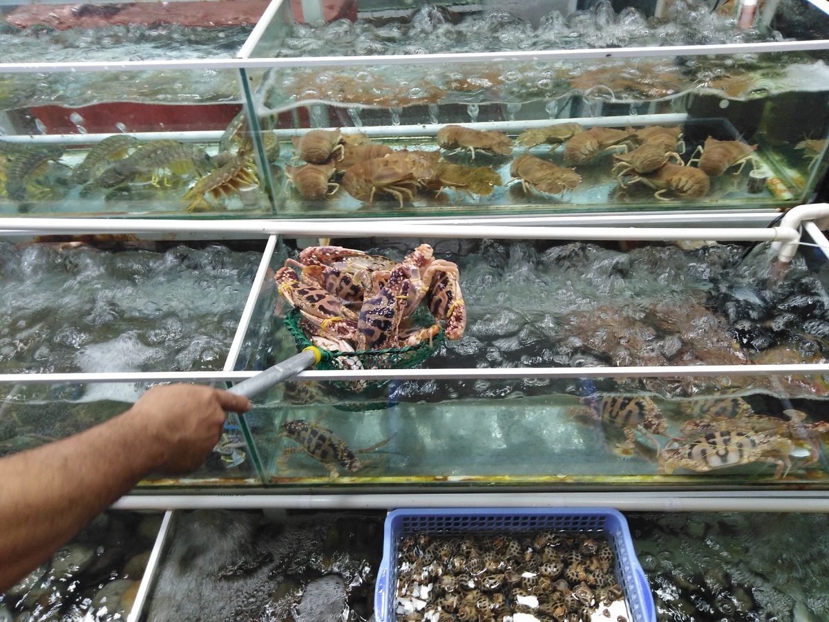 Самые дорогие крабы и прочие омары обойдутся в 200-300 р/кг. Можно забрать живых, могут приготовить на месте.