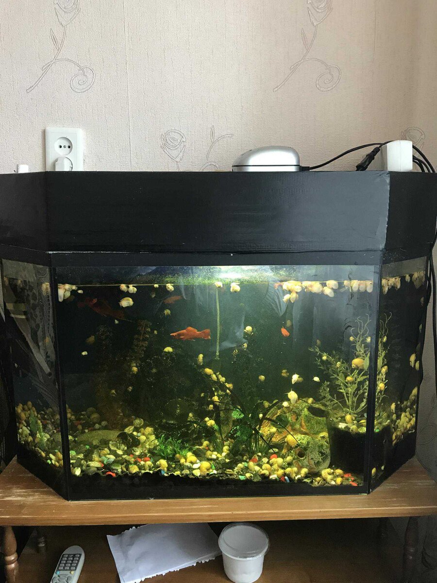 Вот так он выглядел в объявлении