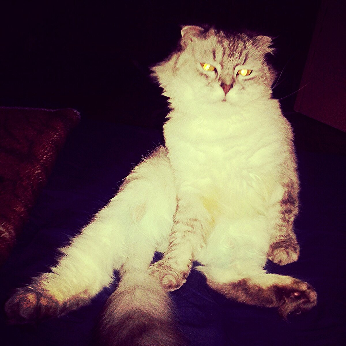 мальчик наш любимый