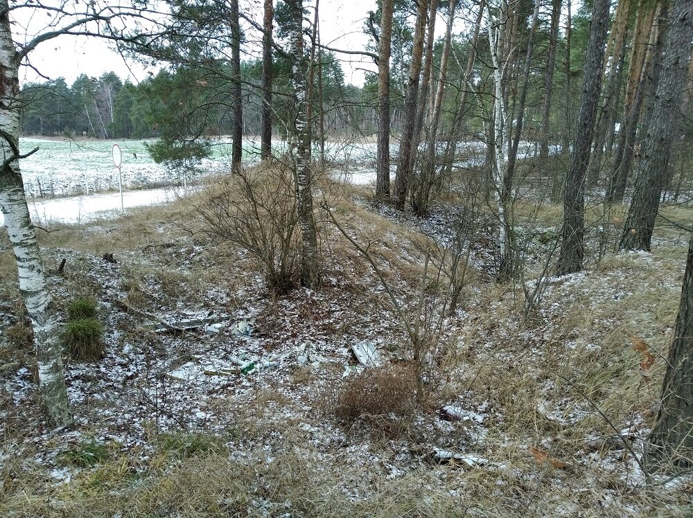 Совсем рядом с дорогой есть небольшой холмик со следами рва вокруг – древний курган или позднее наслоение мусора?