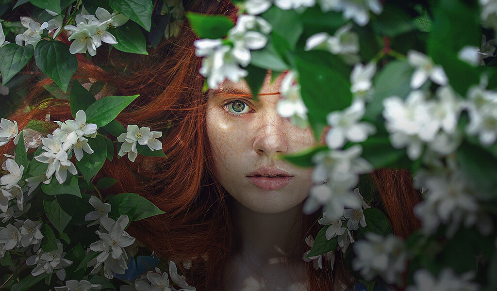 Источник фото: https://pixabay.com/images/id-2436545/