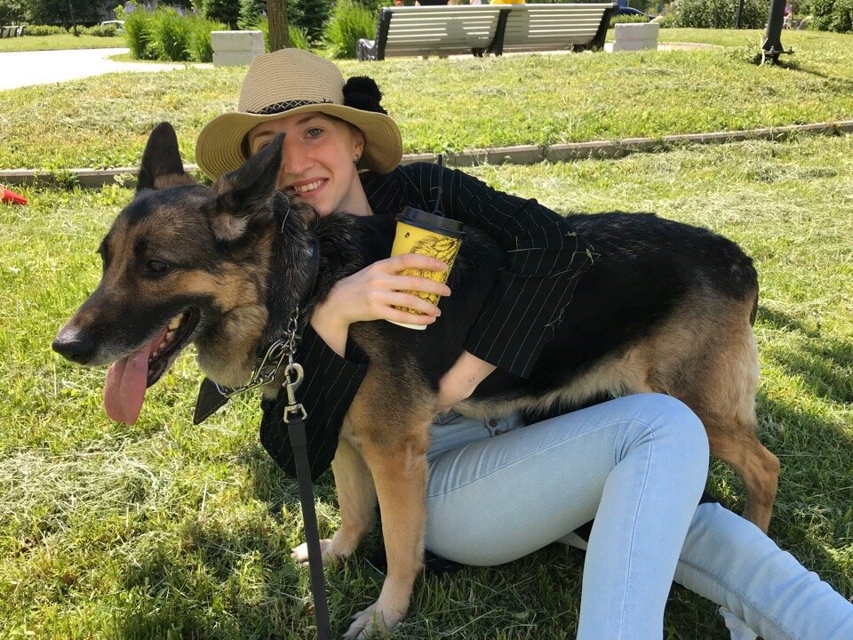 На фото моя постоянная гостья — немецкая овчарка Кристи, 9 лет🐶