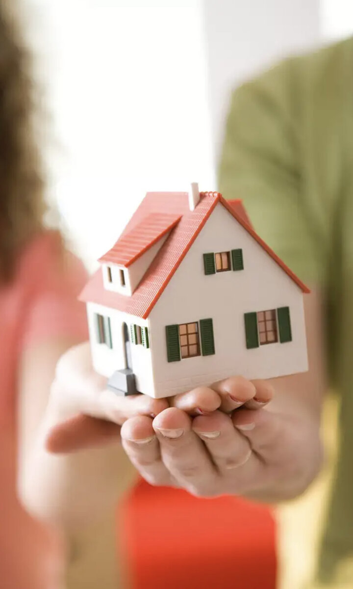 Фото взято из Яндекс фото 