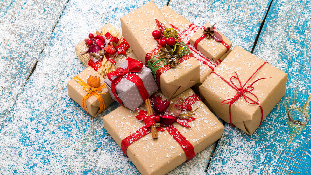 Фото взято из открытого источника