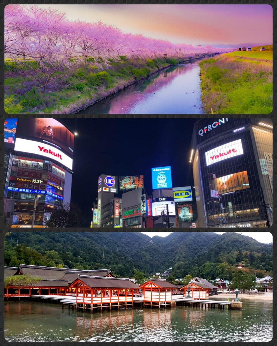 фотографии мои, кроме верхнего, которое взято из открытого источника