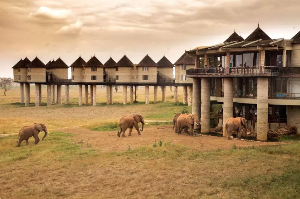 Источник: https://cf.bstatic.com/xdata/images/hotel/max1024x768/250342713.webp?k=417b11799f9bcf196d4783f089e90e7b4e02f07025f08ccc75519ec349d68e9f&o=