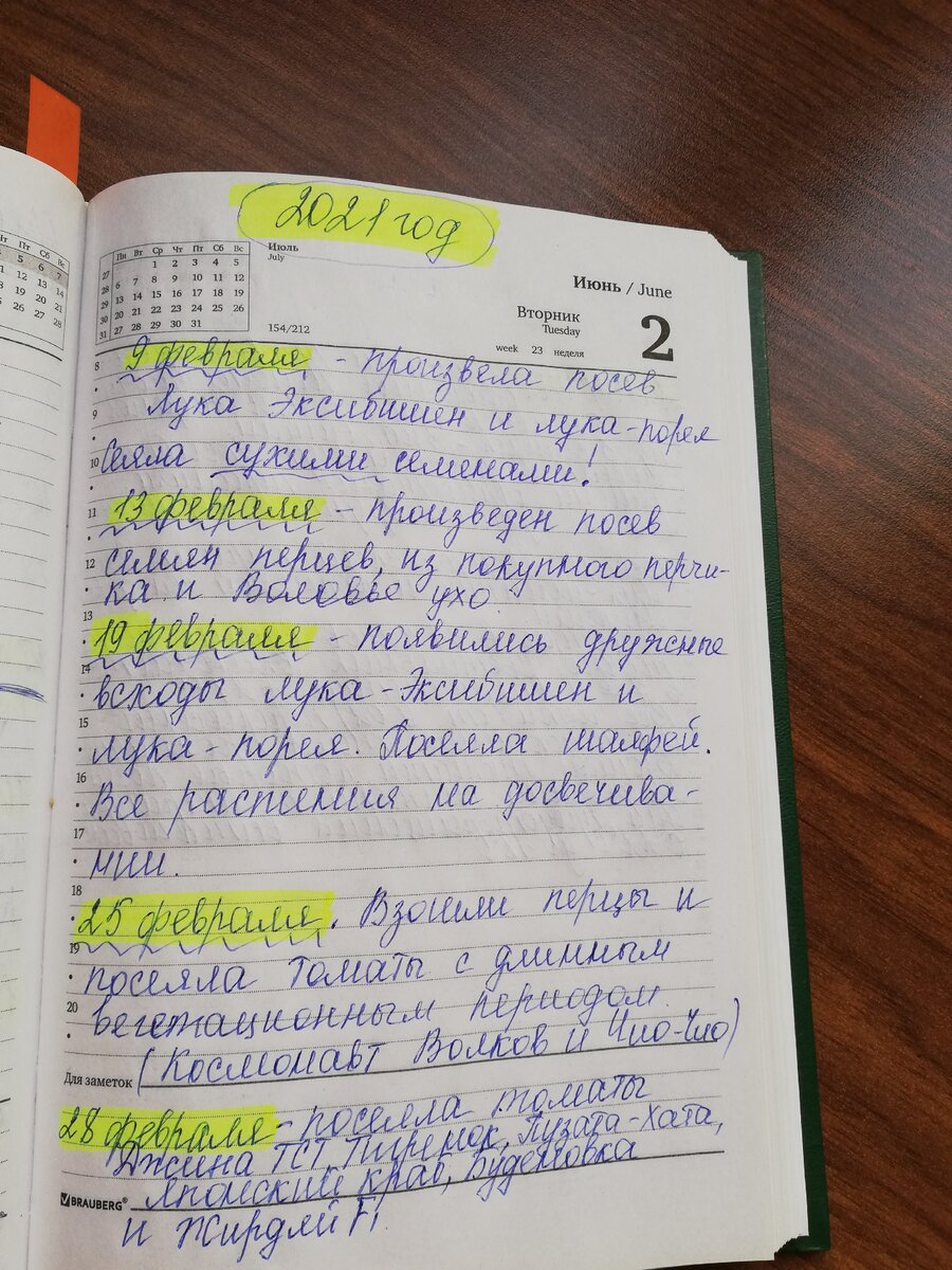 Наш дневник.Кстати,хорошо дисциплинирует.