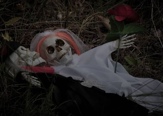 Мои куклы купленные в фиксе на Хэллоуин