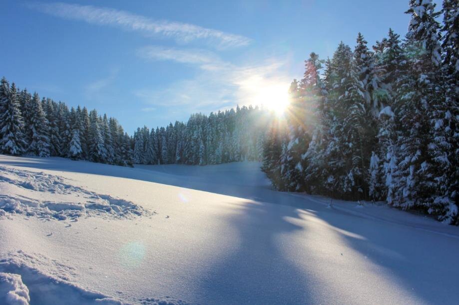 Фото — pixabay.com